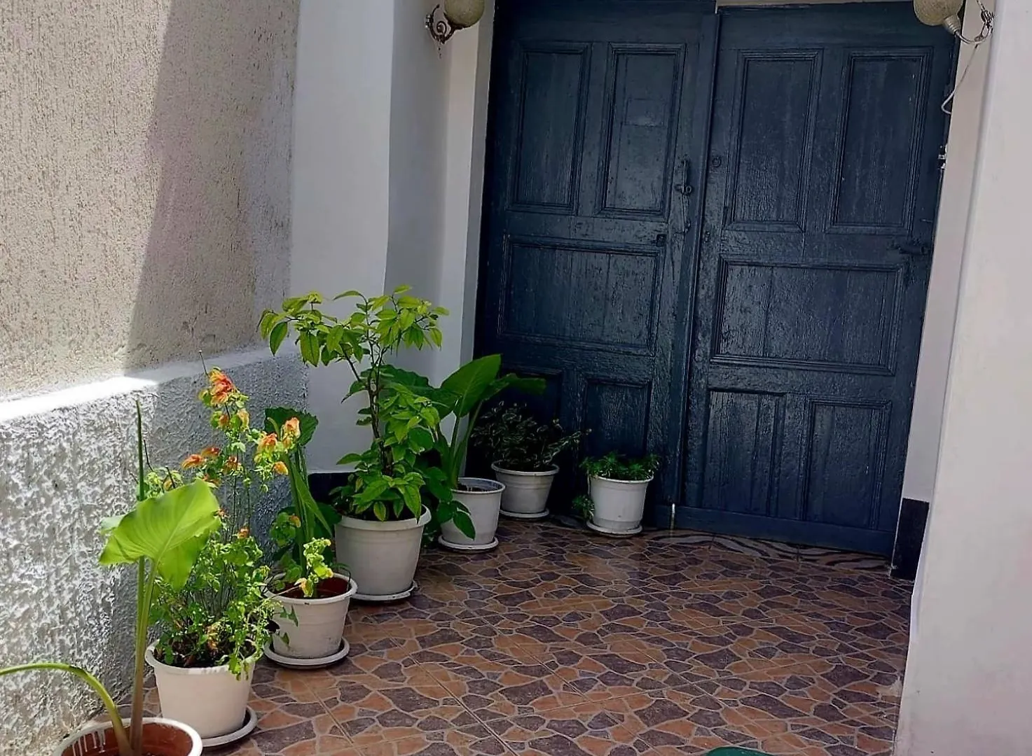 Lägenhet Guest House Flowers Berat Albanien