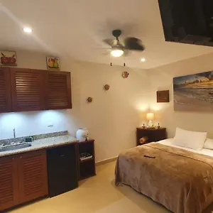 coralito-malecon-luxury-studio.quintano-roohotels.com/